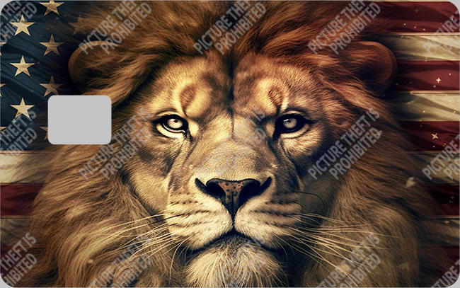 Bank  Card Sticker-BC-217